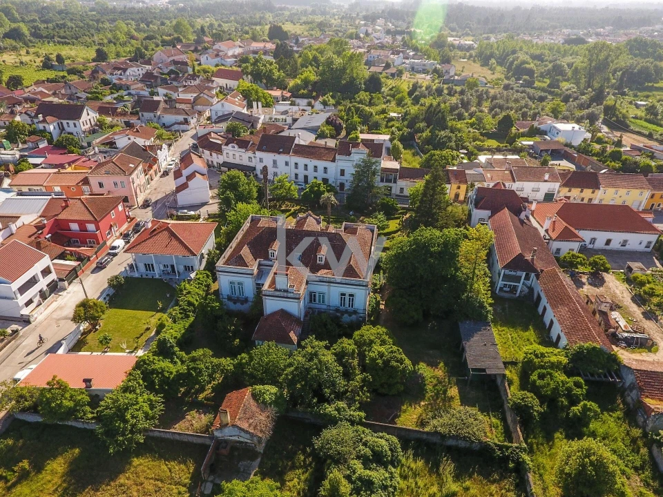 Quinta T12 para Venda em Cantanhede e Pocariça Foto 10