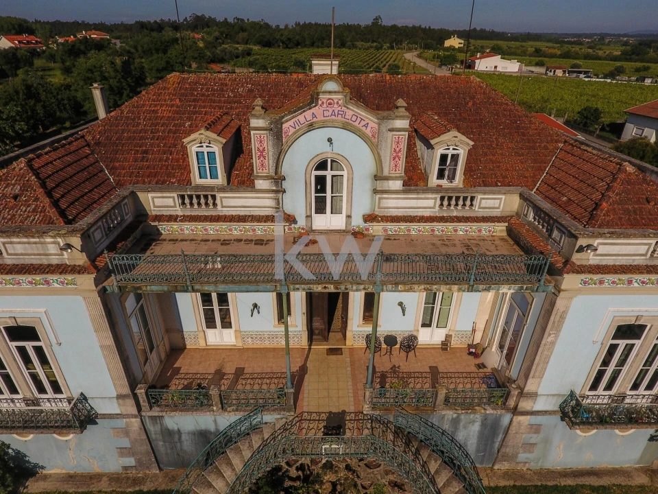 Quinta T12 para Venda em Cantanhede e Pocariça Foto 5