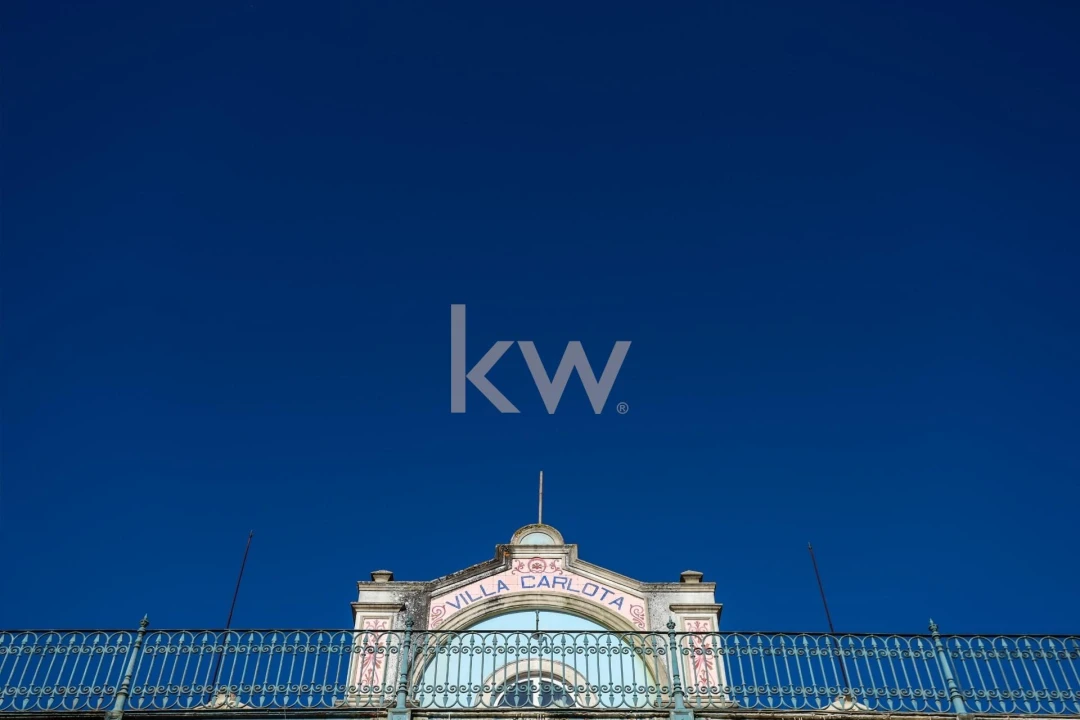 Quinta T12 para Venda em Cantanhede e Pocariça Foto 49