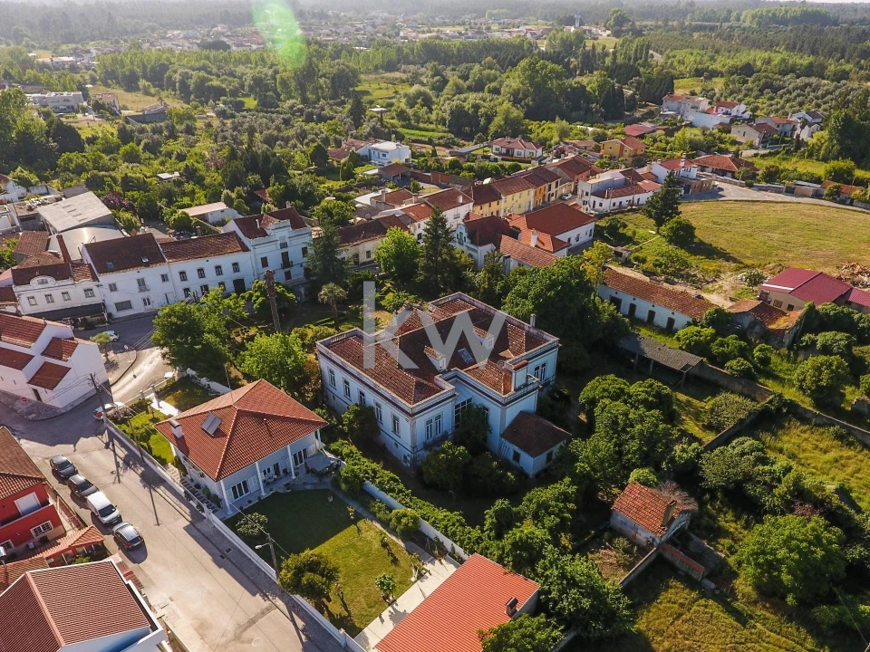 Quinta T12 para Venda em Cantanhede e Pocariça Foto 9