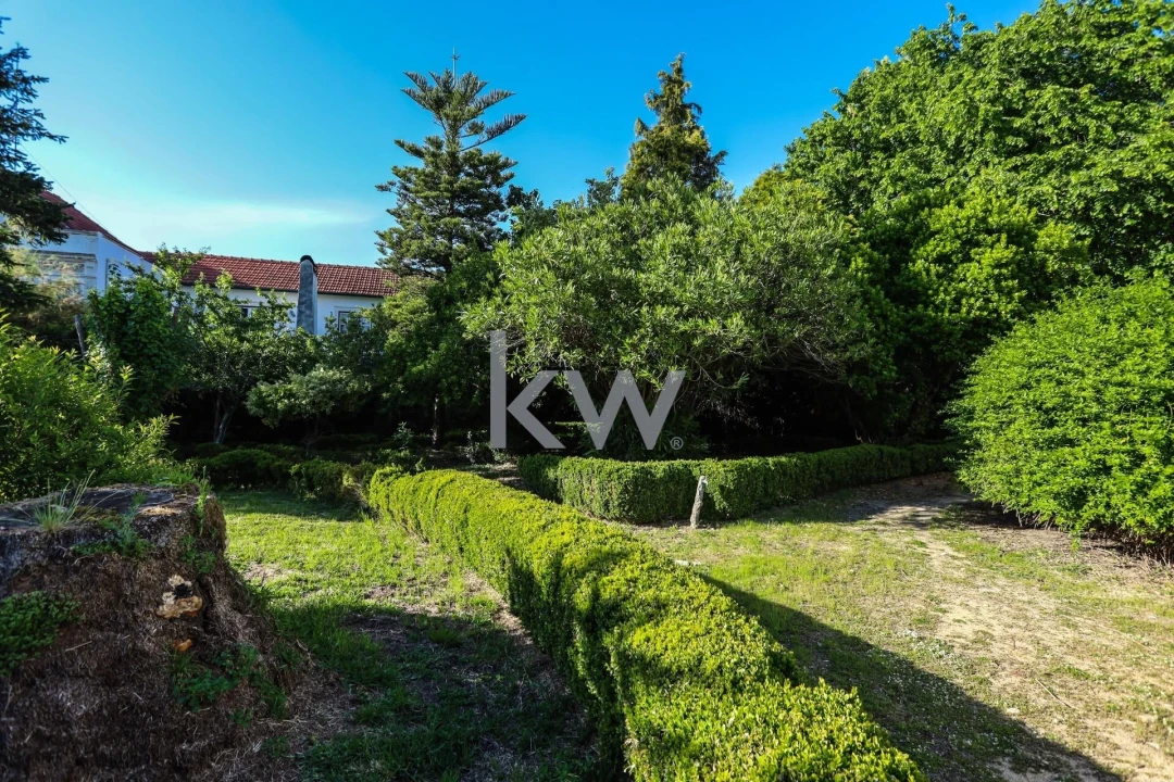 Quinta T12 para Venda em Cantanhede e Pocariça Foto 39