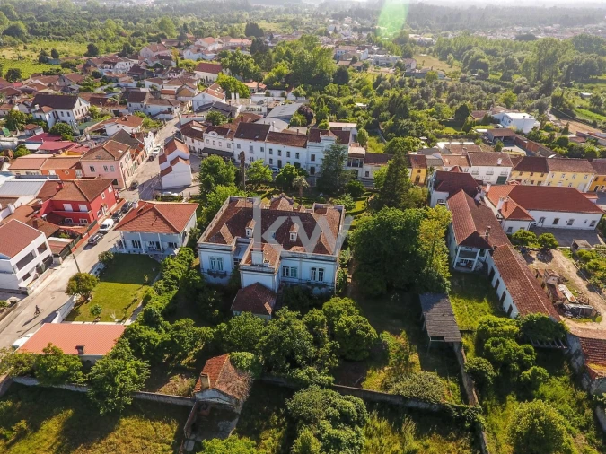 Quinta T12 para Venda em Cantanhede e Pocariça Foto 10