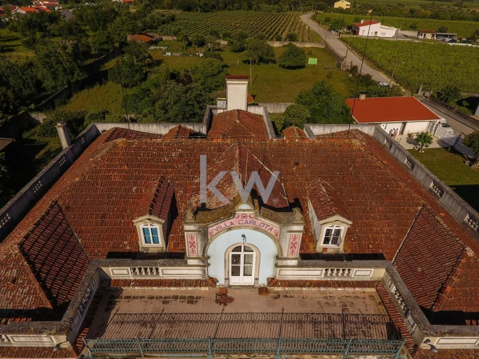 Quinta T12 para Venda em Cantanhede e Pocariça Foto 22