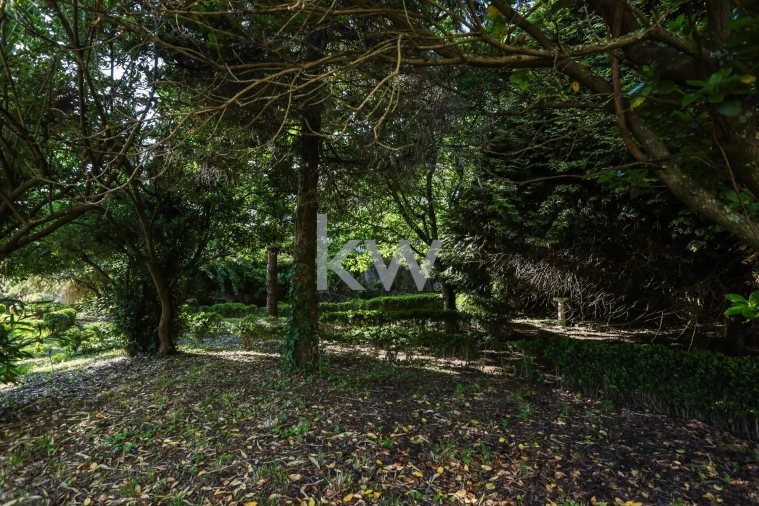 Quinta T12 para Venda em Cantanhede e Pocariça Foto 45