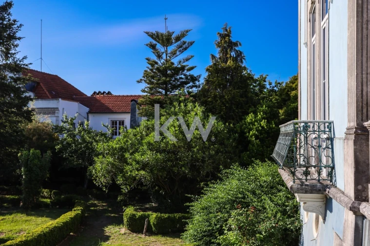 Quinta T12 para Venda em Cantanhede e Pocariça Foto 30