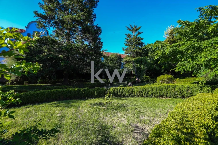 Quinta T12 para Venda em Cantanhede e Pocariça Foto 33