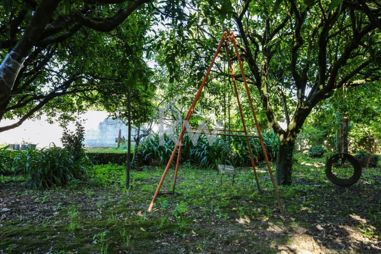Quinta T12 para Venda em Cantanhede e Pocariça Foto 42