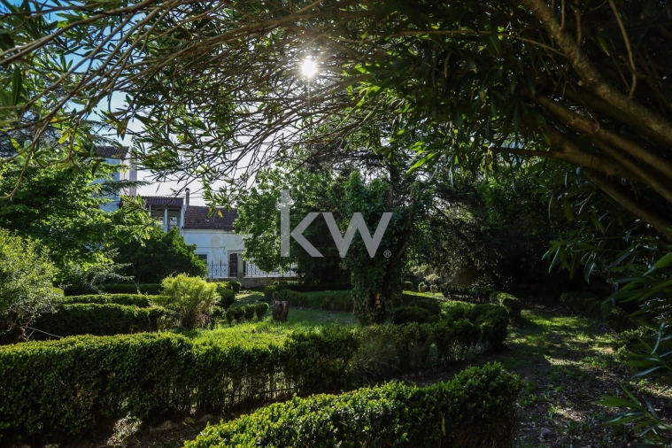 Quinta T12 para Venda em Cantanhede e Pocariça Foto 46