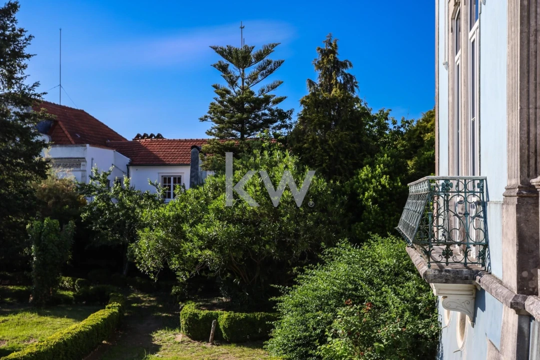 Quinta T12 para Venda em Cantanhede e Pocariça Foto 30