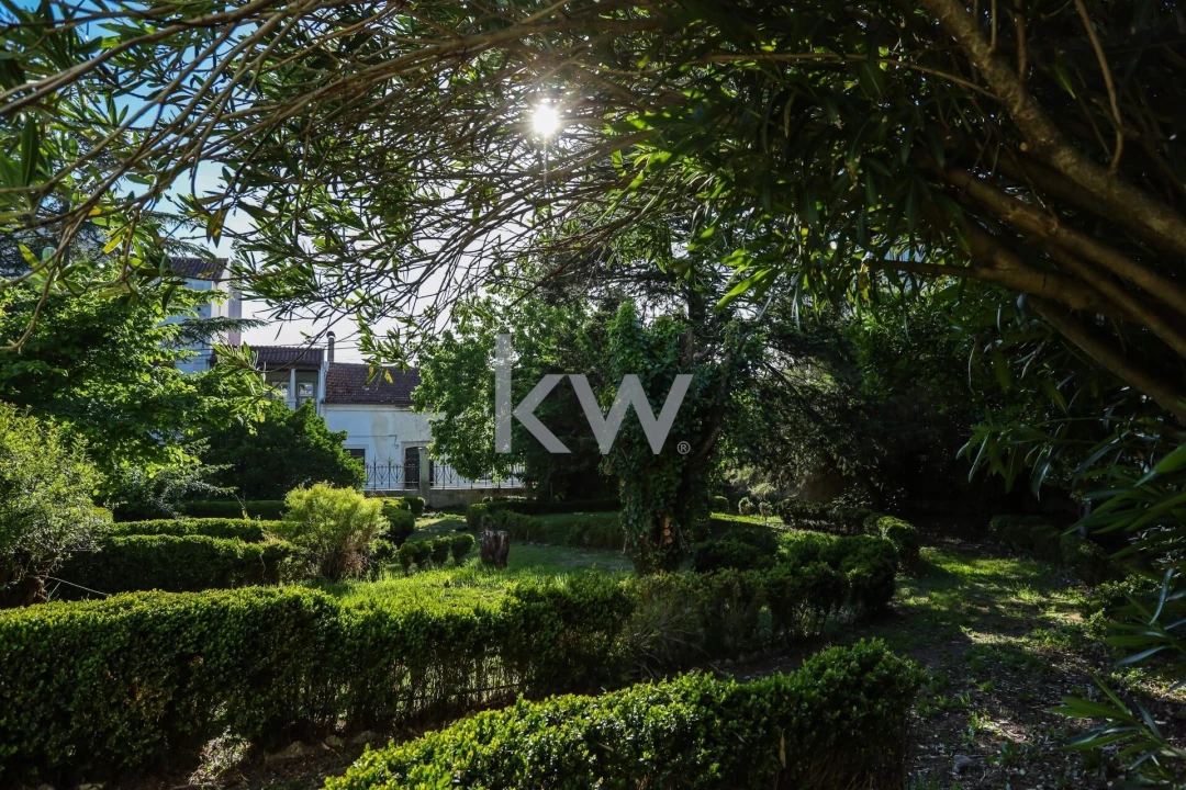 Quinta T12 para Venda em Cantanhede e Pocariça Foto 46