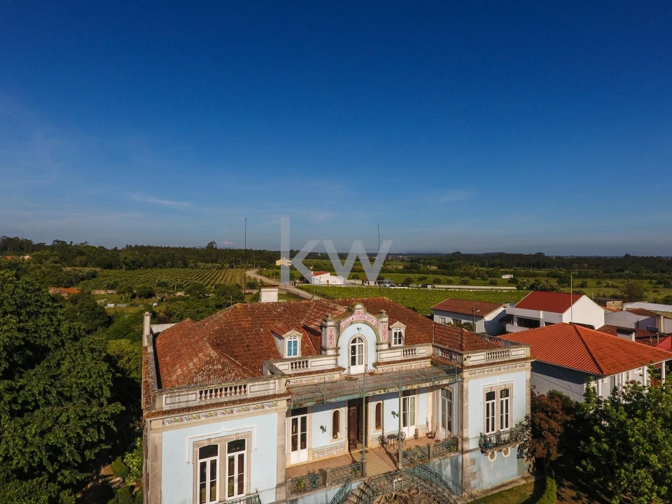 Quinta T12 para Venda em Cantanhede e Pocariça Foto 12
