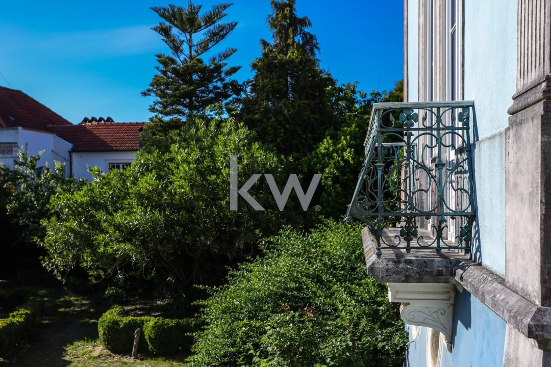 Quinta T12 para Venda em Cantanhede e Pocariça Foto 31