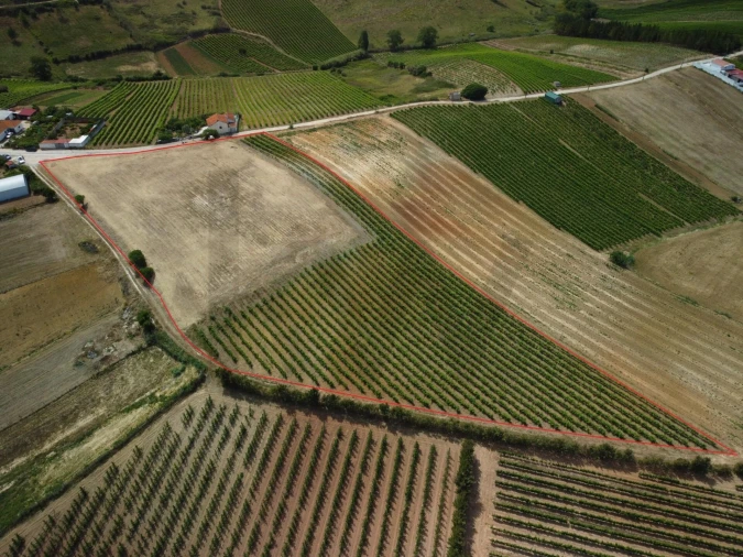 Terreno para Venda em Freiria Foto 7