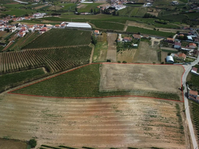 Terreno para Venda em Freiria Foto 4