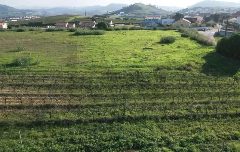 Terreno para Venda em Freiria Foto 12