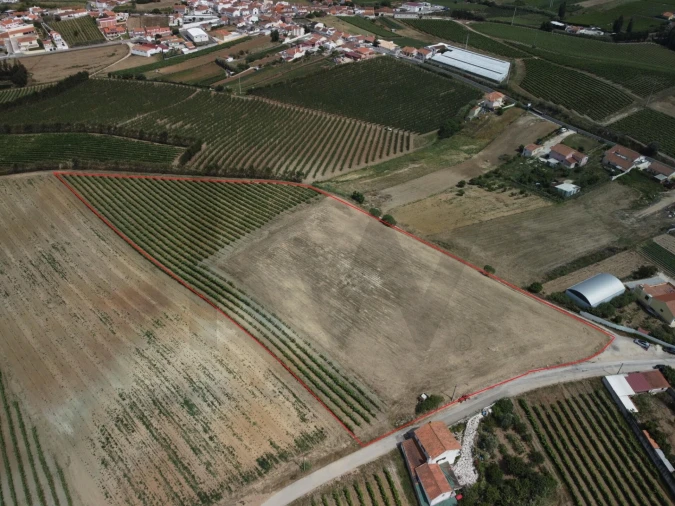 Terreno para Venda em Freiria Foto 3
