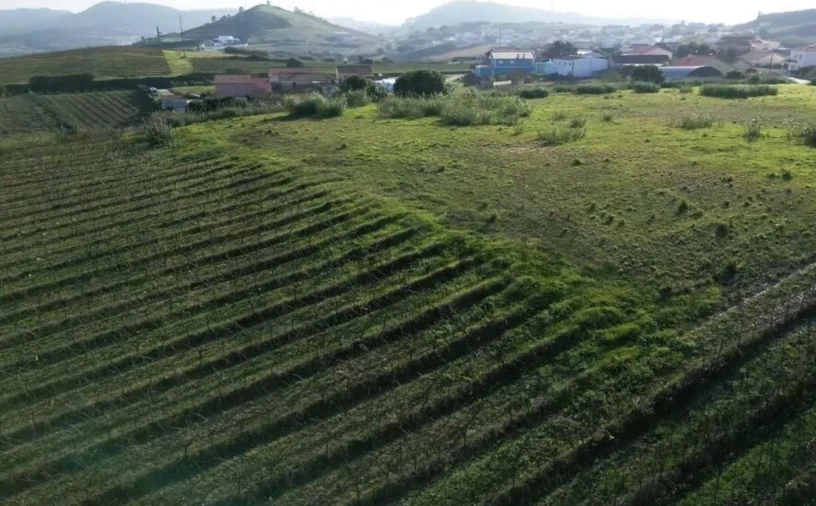 Terreno para Venda em Freiria Foto 11