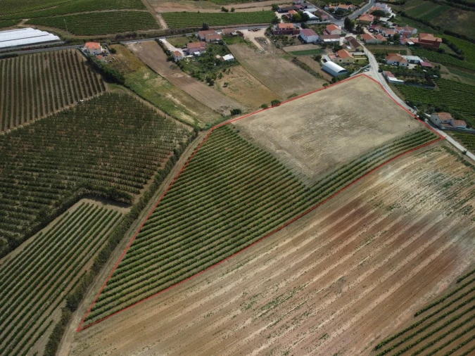 Terreno para Venda em Freiria Foto 5