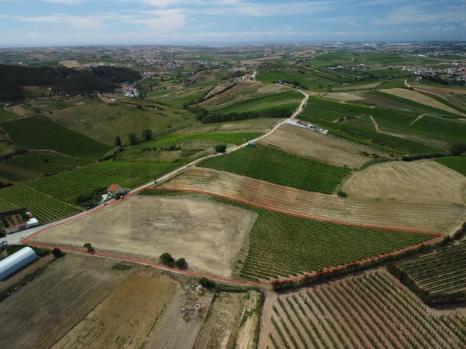 Terreno para Venda em Freiria Foto 8