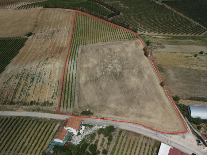 Terreno para Venda em Freiria Foto 2