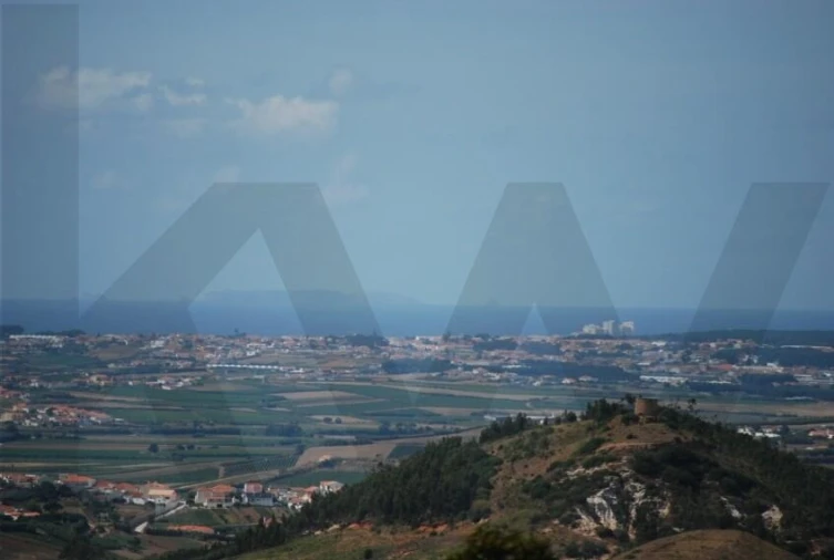 Terreno para Venda em Freiria Foto 15