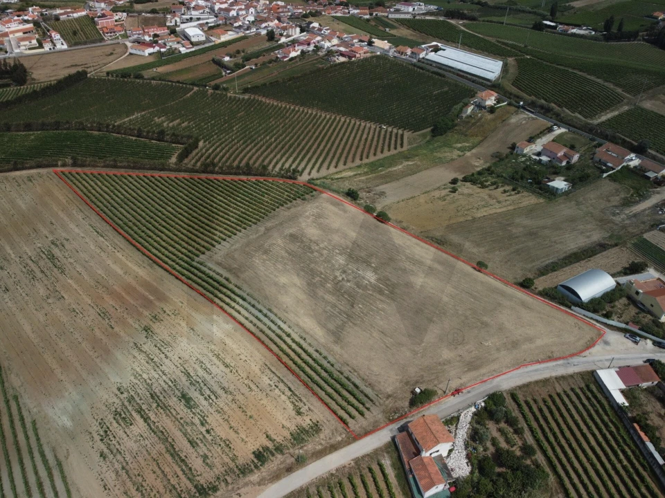 Terreno para Venda em Freiria Foto 3