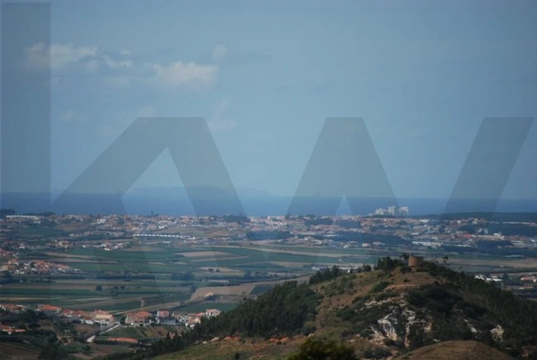 Terreno para Venda em Freiria Foto 15