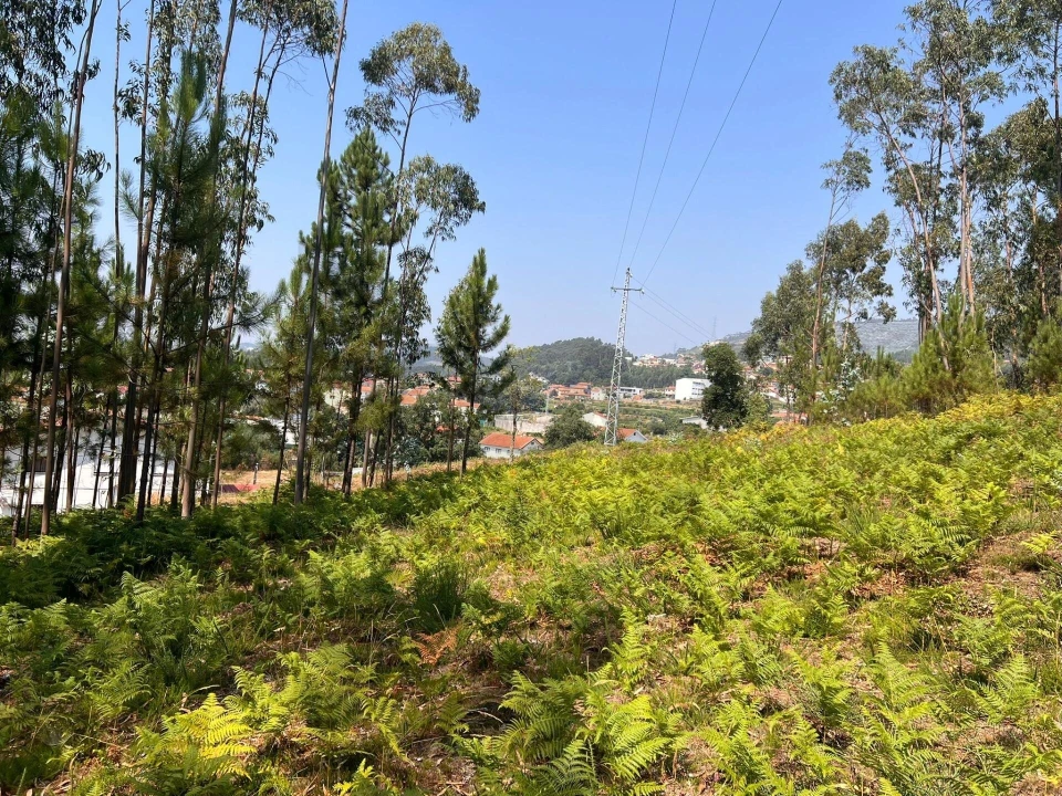 Terreno para Venda em Nogueira do Cravo e Pindelo Foto 9