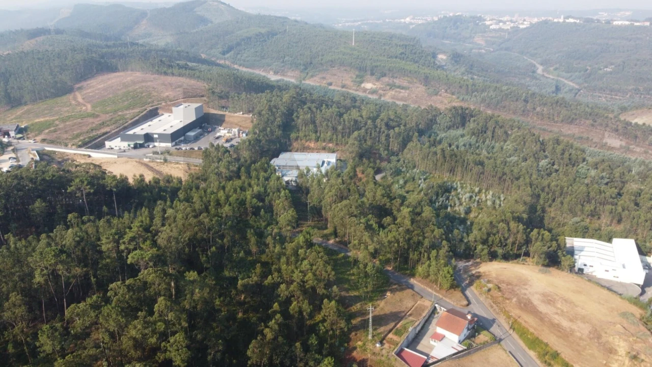 Terreno para Venda em Nogueira do Cravo e Pindelo Foto 19