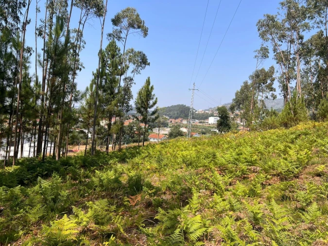 Terreno para Venda em Nogueira do Cravo e Pindelo Foto 9