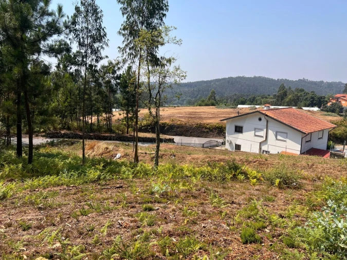 Terreno para Venda em Nogueira do Cravo e Pindelo Foto 6