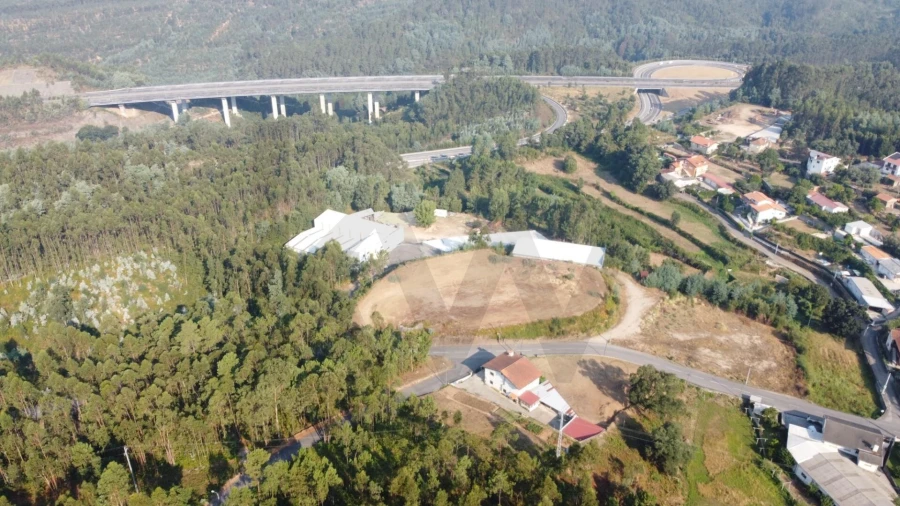 Terreno para Venda em Nogueira do Cravo e Pindelo Foto 15