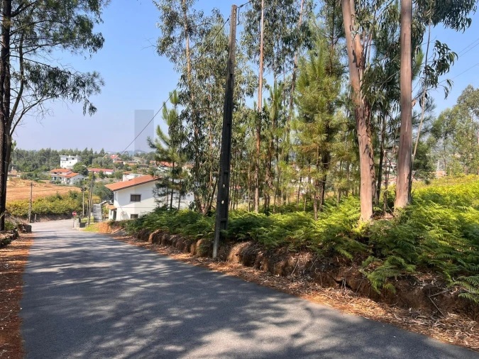Terreno para Venda em Nogueira do Cravo e Pindelo Foto 8
