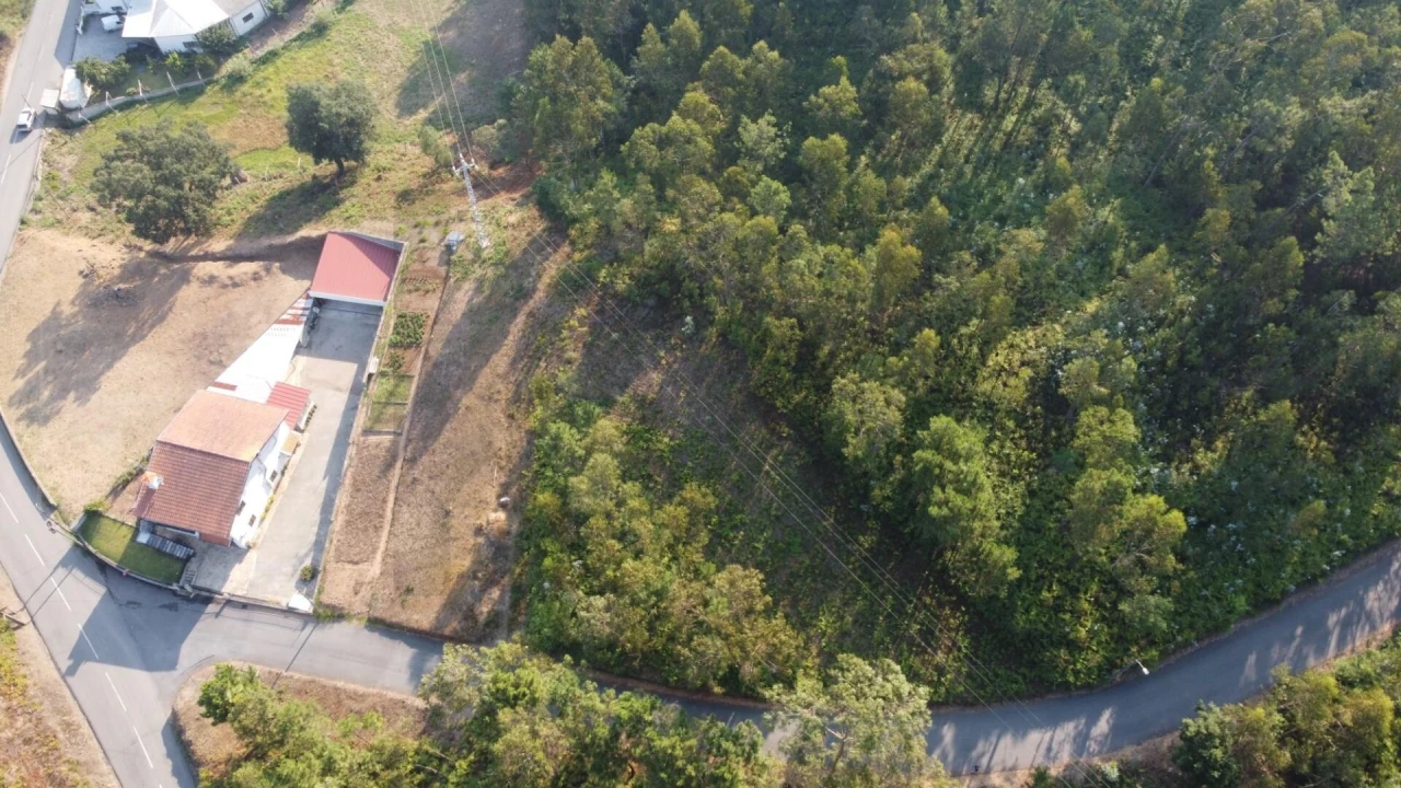 Terreno para Venda em Nogueira do Cravo e Pindelo Foto 12