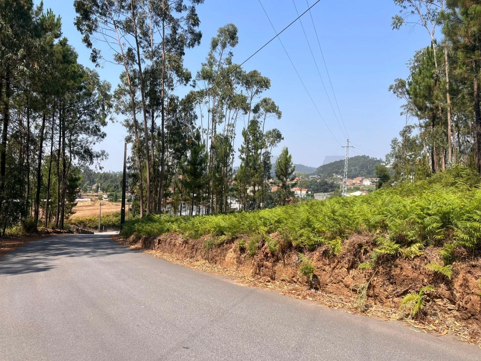 Terreno para Venda em Nogueira do Cravo e Pindelo Foto 11