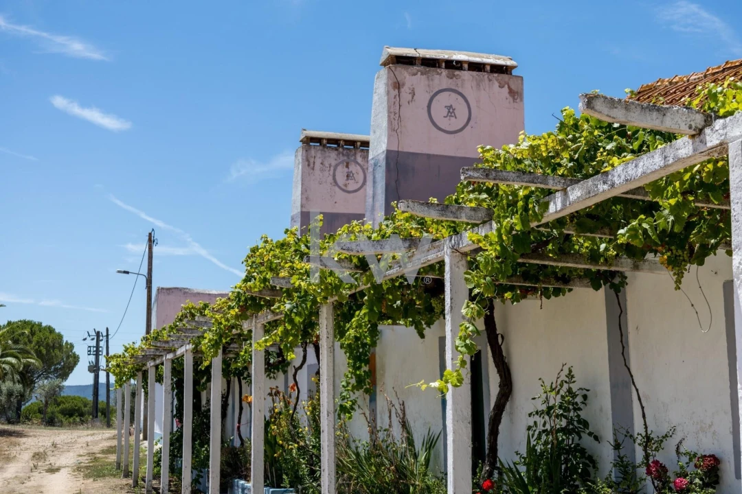 Quinta T11 para Venda em Cabrela Foto 34