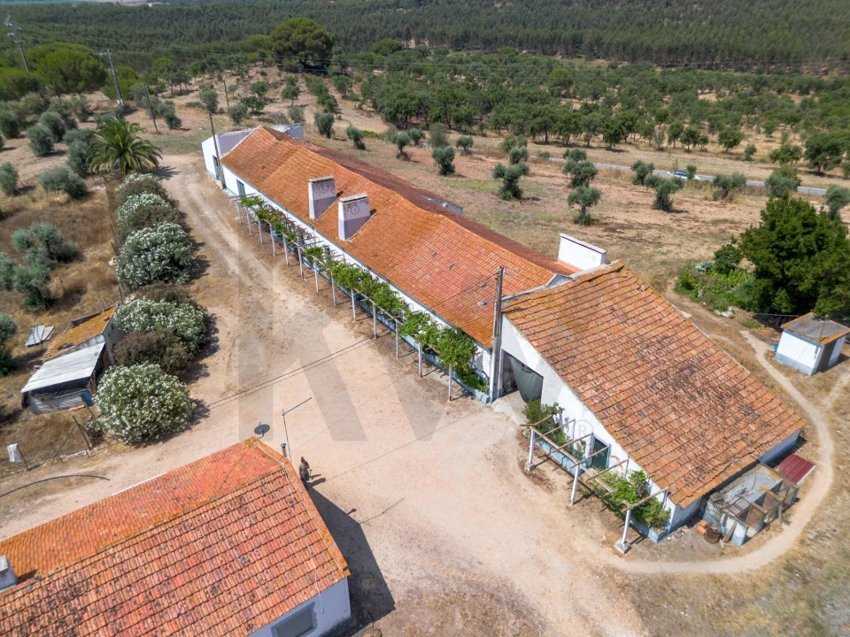 Quinta T11 para Venda em Cabrela Foto 2