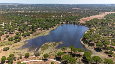 Quinta T11 para Venda em Cabrela
