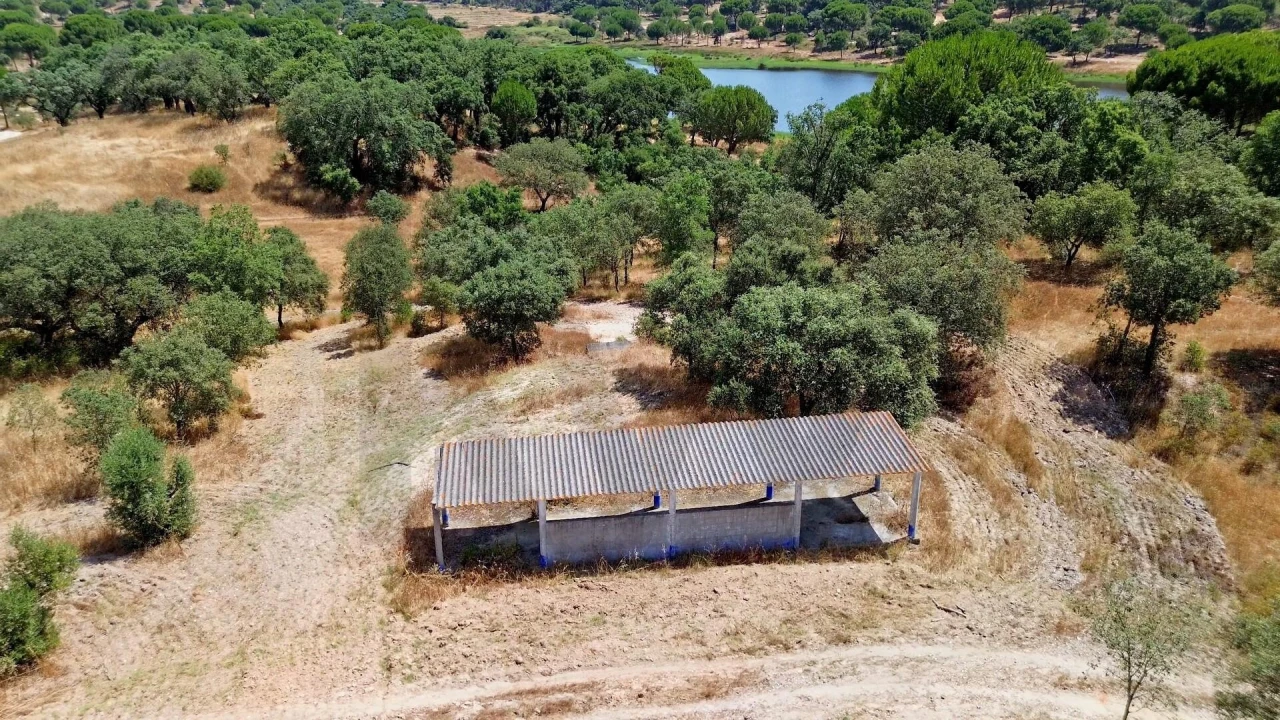 Quinta T11 para Venda em Cabrela Foto 22