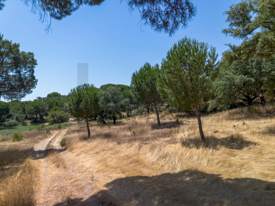 Quinta T11 para Venda em Cabrela Foto 12