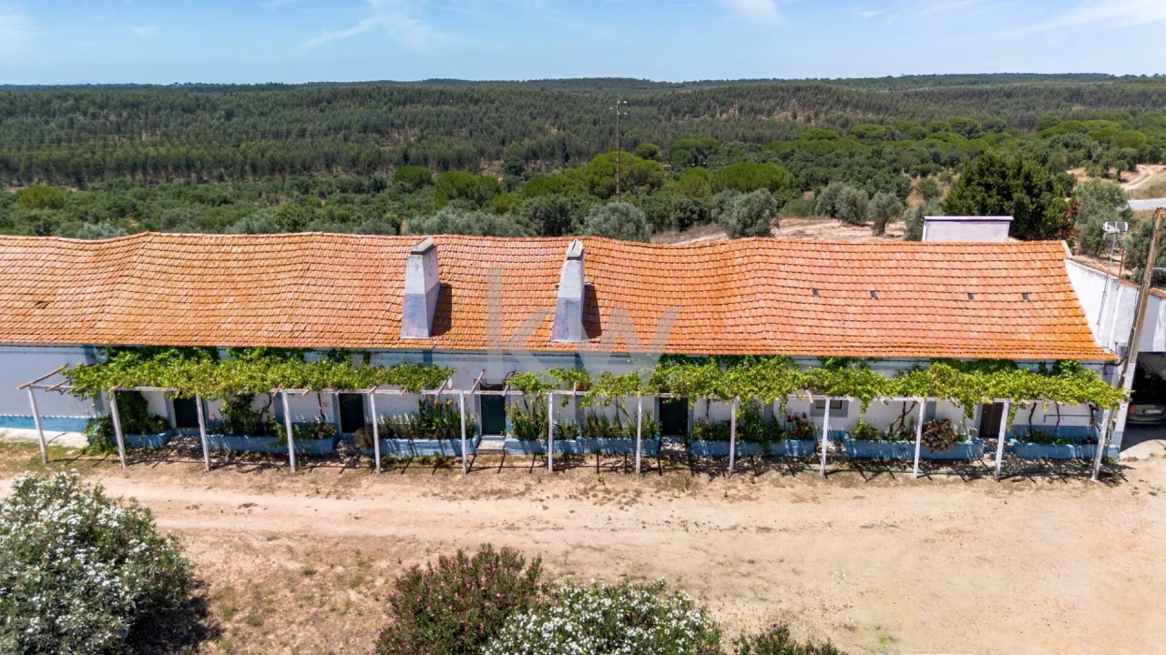 Quinta T11 para Venda em Cabrela Foto 47