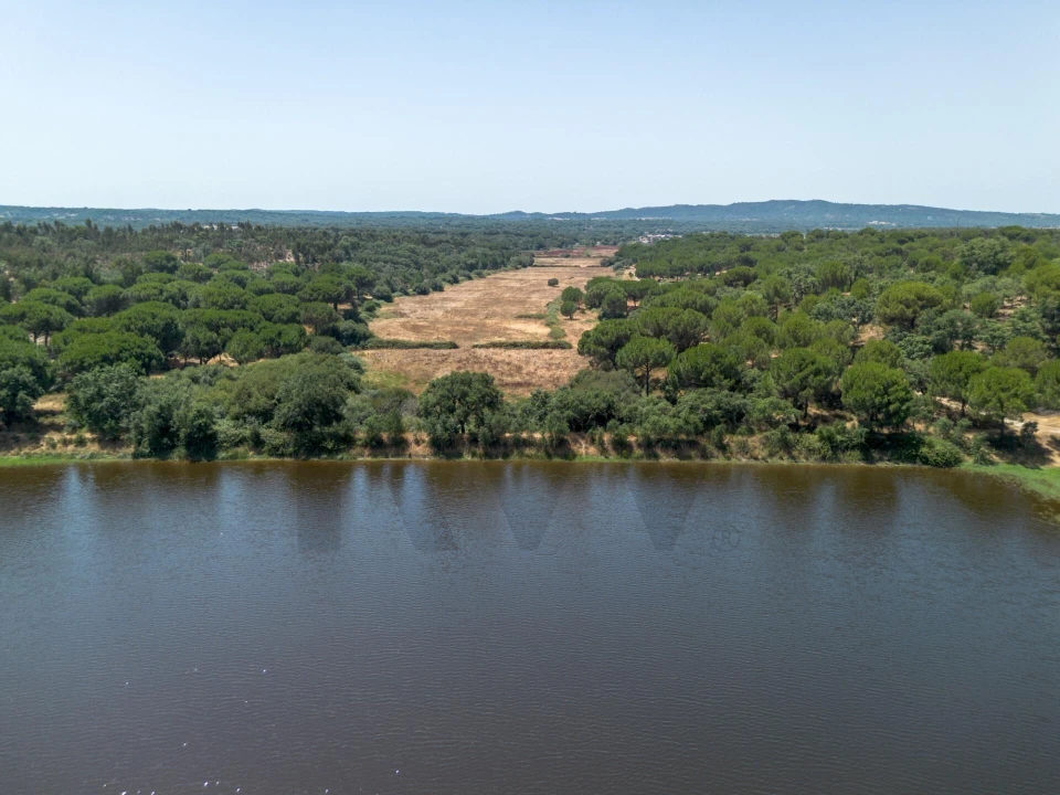 Quinta T11 para Venda em Cabrela Foto 17
