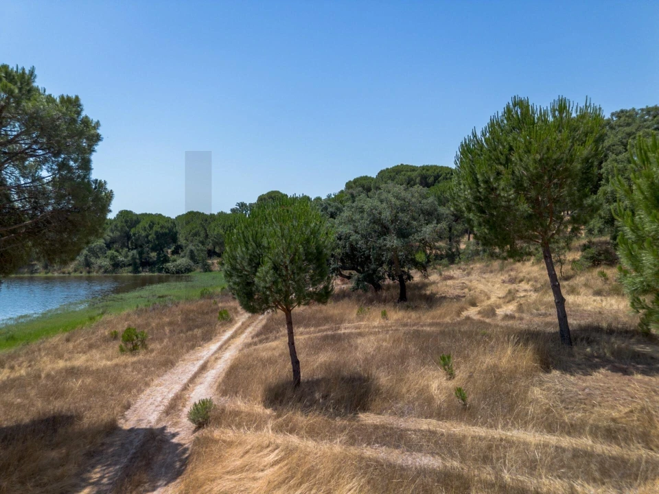 Quinta T11 para Venda em Cabrela Foto 14