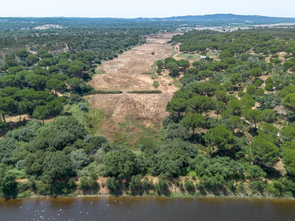 Quinta T11 para Venda em Cabrela Foto 18