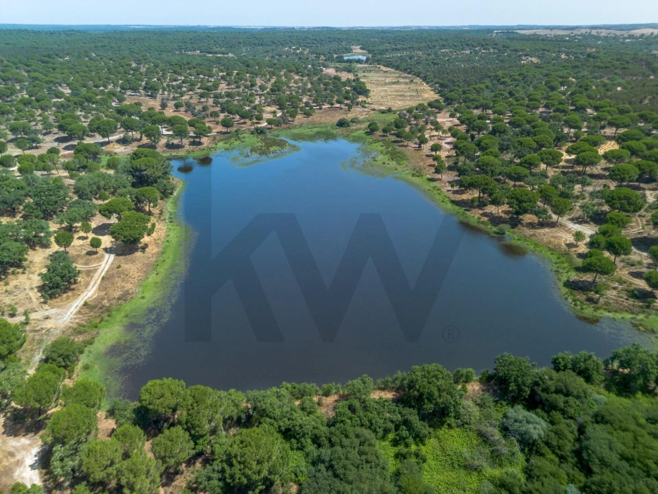 Quinta T11 para Venda em Cabrela Foto 9