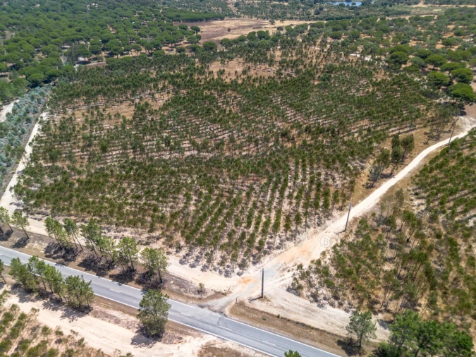 Quinta T11 para Venda em Cabrela Foto 30