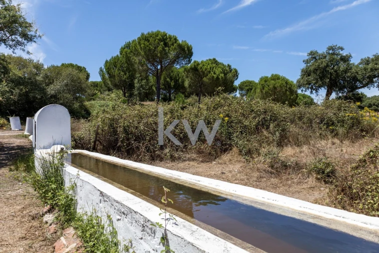 Quinta T11 para Venda em Cabrela Foto 45