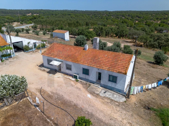 Quinta T11 para Venda em Cabrela Foto 4