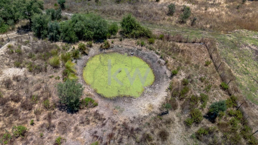 Quinta T11 para Venda em Cabrela Foto 43