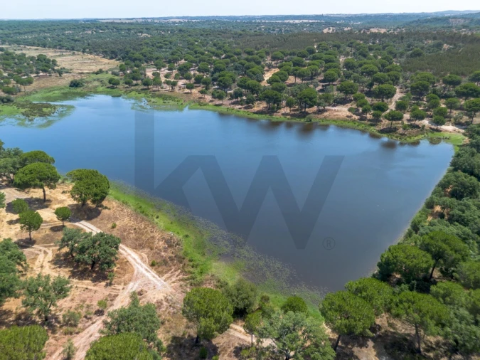 Quinta T11 para Venda em Cabrela Foto 8